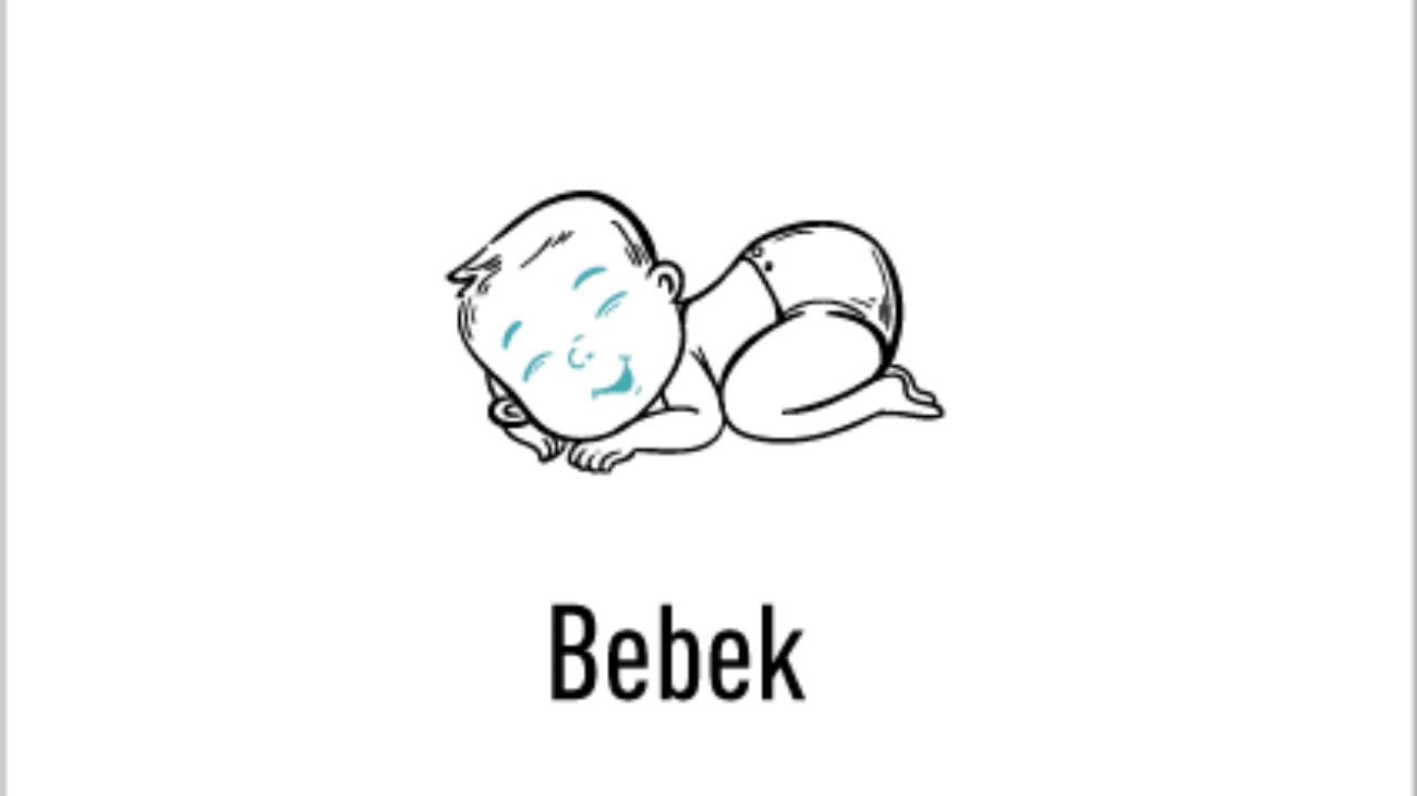 bebek