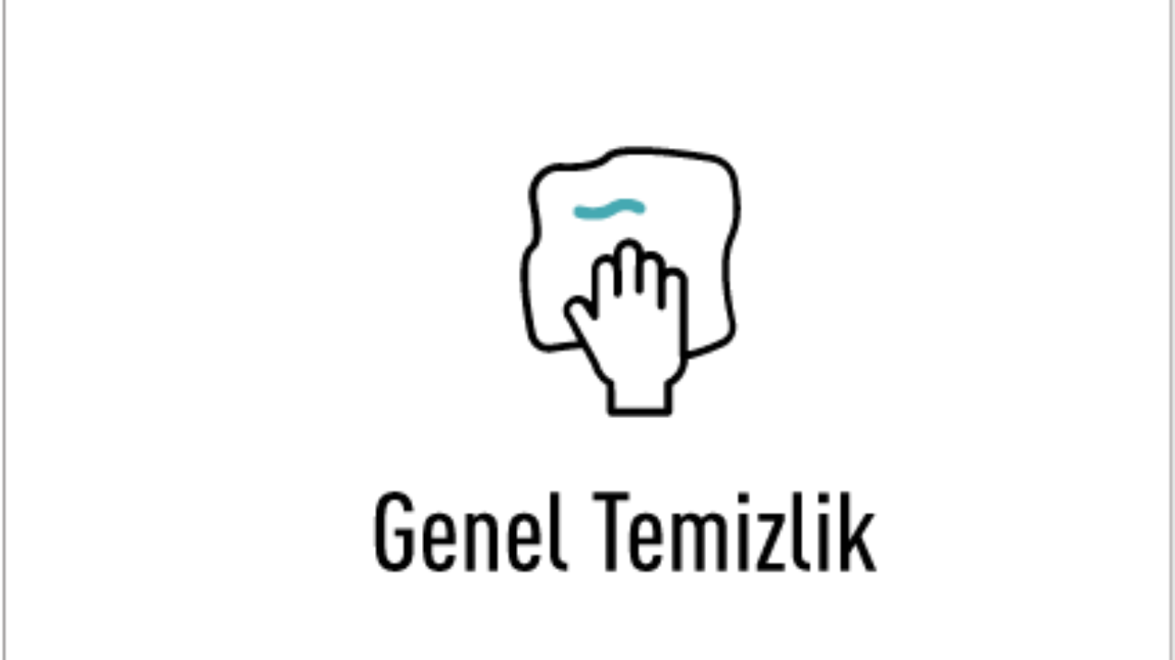 geneltemizlik